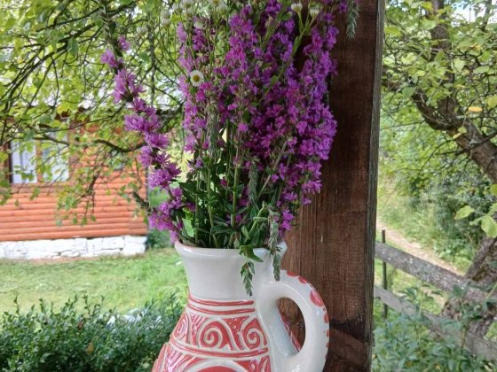 Оренда будинку в Карпатах Угорники