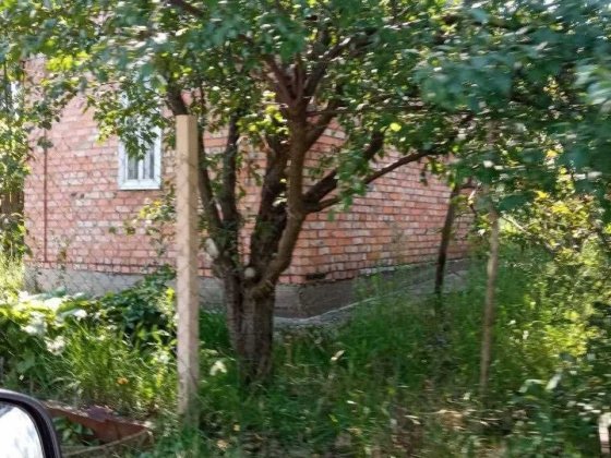 Сдам в аренду  дача у Днепра (с. Приднепровское, 19 км от Запорожья) Приднепровское