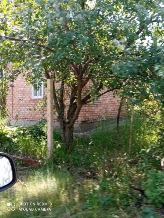 Сдам в аренду  дача у Днепра (с. Приднепровское, 19 км от Запорожья) - фото 1