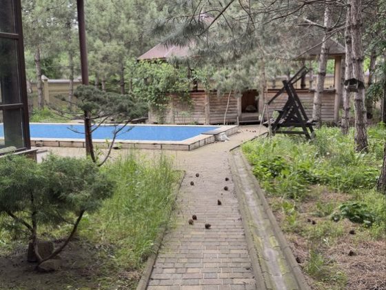 Новий будинок для сімʼї в центрі міста