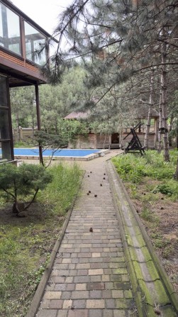 Новий будинок для сімʼї в центрі міста - фото 1