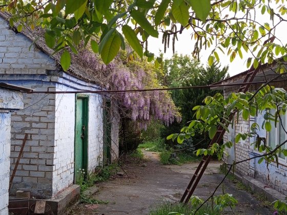 Оренда ш у к а є м о будинок Передова,Березанівка Днепр