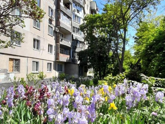 Продам 1 ком Глушко Одесса