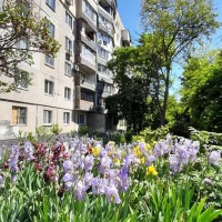 Продам 1 ком Глушко Одесса