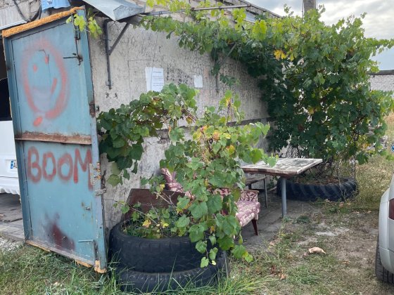 Гараж столик с виноградом
