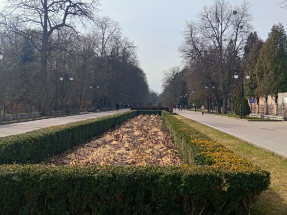 Здається квартира біля міського парку  Шевченка Ивано-Франковск