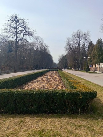 Здається квартира біля міського парку  Шевченка - фото 1