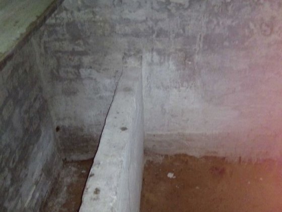 Здам в аренду Або продам або обменПогрiб