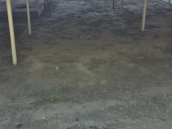 Сдам/продам паркомісце на автостоянці "Київська 13" на проти АТБ по  вул Вільямса 50 Одесса