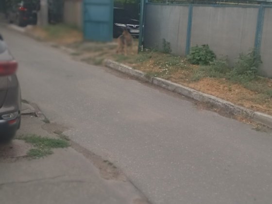 Парковка /Автлстоянка аренда Одесса