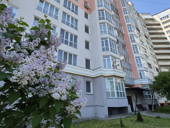 Оренда 1 к квартира , автономка, вул Жабинського 2 д Чернигов