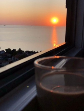 Сдам студию 44жемчужина/ Каманина/ Аркадия. Помесячно ! - фото 1