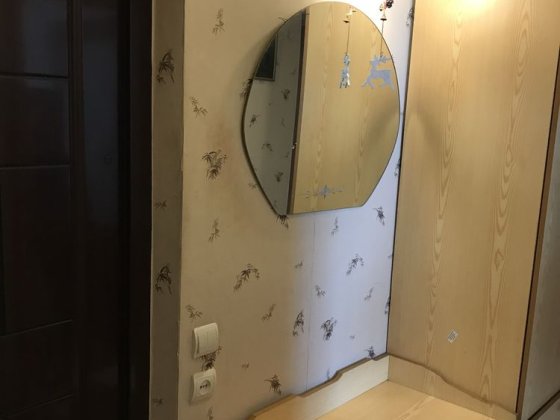 Оренда 1 к квартири Сихів, Кос-Анатольського Львов