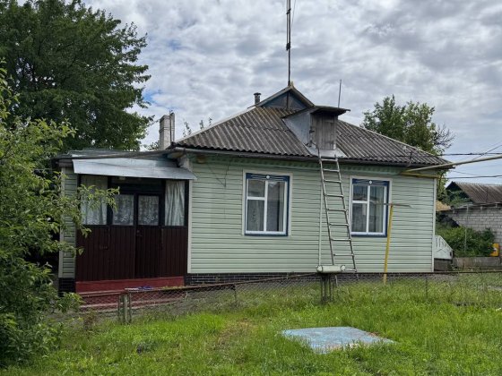Продаж будинку 70 м², м.Глобине, вул. Європейська 15