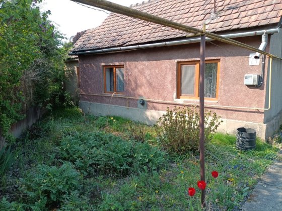 Будинок за ціною квартири з великою присадибною ділянкою Берегово