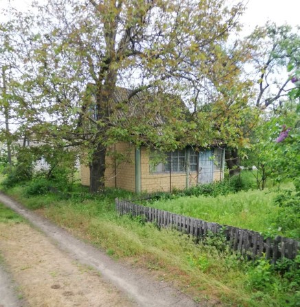 Продам дачу Власівка Сади 3 - фото 1