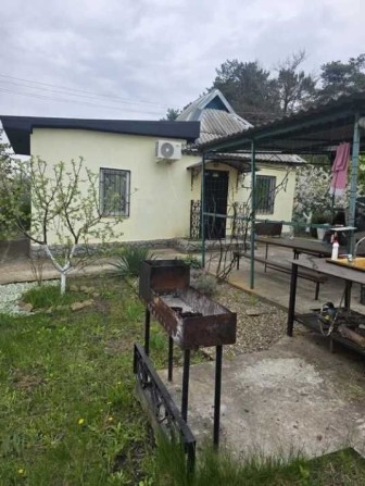 Продам Дачу возле леса за Левым берегом. - фото 1