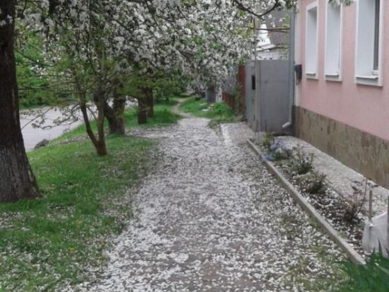 Продам затишний будинок зі свідим ремонтом Глухів