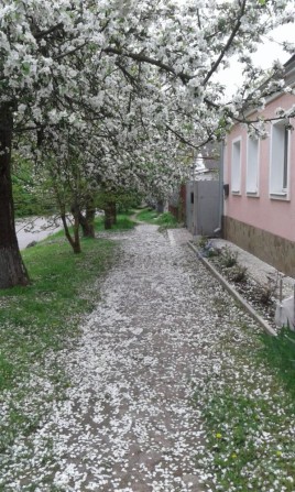 Продам затишний будинок зі свідим ремонтом - фото 1
