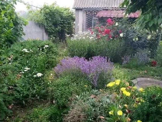 (13) Продам компактний будинок.в с. Олександрівка (Чорноморськ). Черноморск