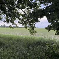 Ділянка сільськогосподарського призначення Бориспільський, Гора, 120000 $.. Гора