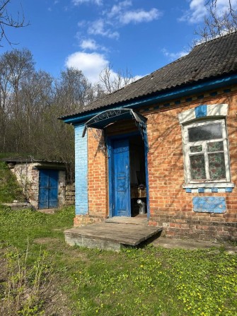 Продам будинок в с.Луки - фото 1
