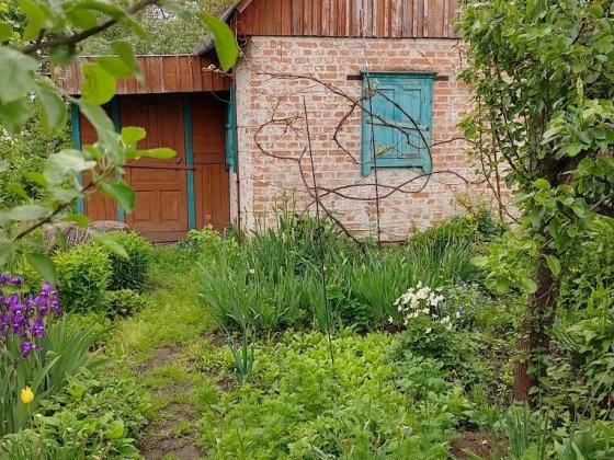 Продаж дачі в Ніжині,район Бабичівки Нежин
