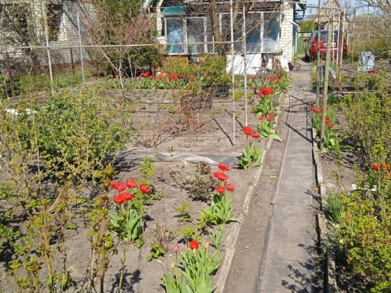 Продам дачу, ПЗТО, Павлоград Павлоград