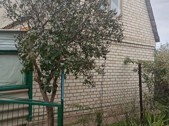 Продам дачу на ПЗТО Павлоград