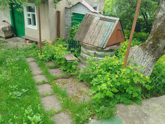 Продам будинок в нормальному стані Ромны