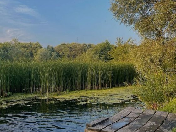 Продаться земельна дилянка з недобудованим будинком Старокостянтинів