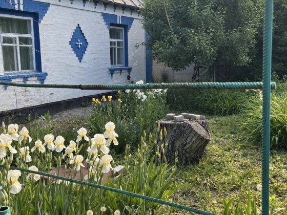 Продається будинок в с.Хутір Черкас 15км від Білоі Церкви Фастів