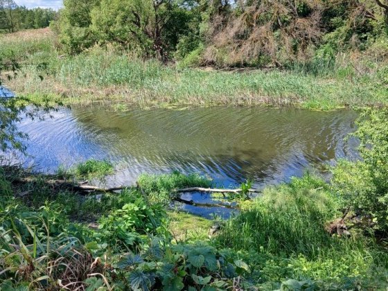 Дача на березі Бугу в ідеальному місці..Сокаль. Шептицкий