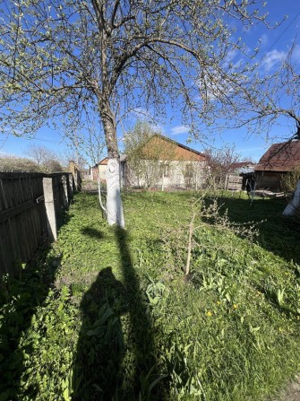 Продам будиночок та земельну ділянку в центрі міста - фото 1