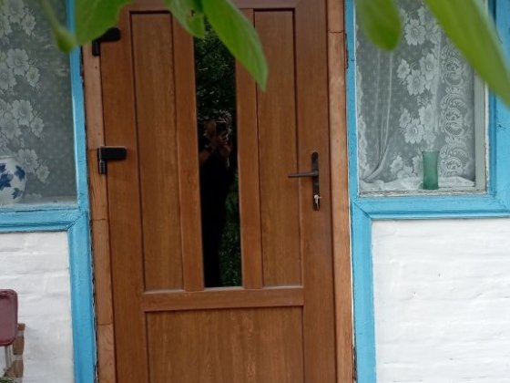 Будинок квартирного типу