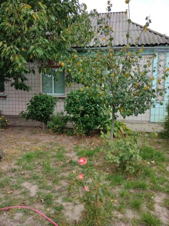 Продається будинок у м. Тетіїв - фото 1