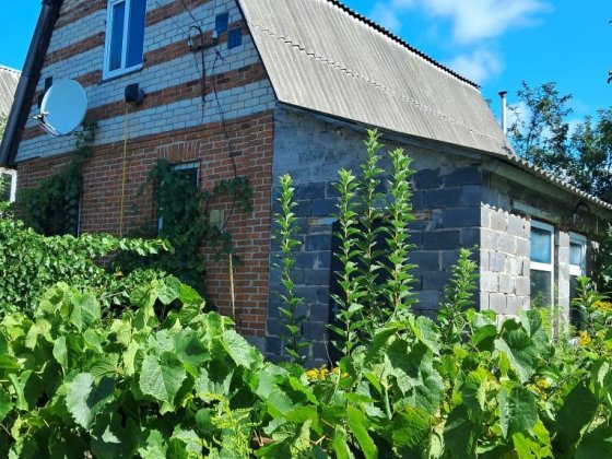 Продається дача. Вижгородський р-н. С Хотянівка,.садове товаоиство Червоний прапор Богданівка