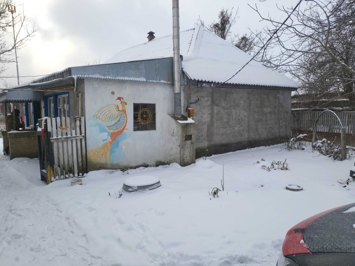 Продаж будинку у с. В. Солтанівка - фото 1