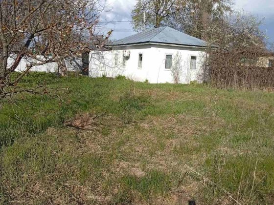 Продам будинок з ділянкою, село Літки, вул. Л.Українки Літки