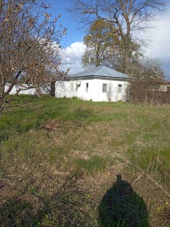 Продам будинок з ділянкою, село Літки, вул. Л.Українки - фото 1