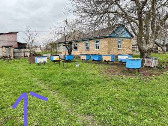 Продам будинок в селі Літки та земельну ділянку 25сот. Летки