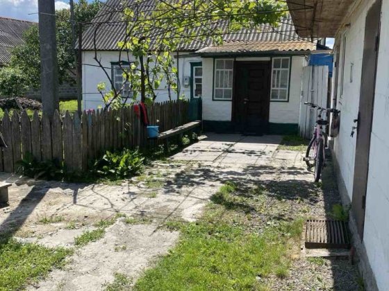 Будинок у селі, де лелеки стали добрими сусідами село Плесецьке  Київська область . Плесецьке