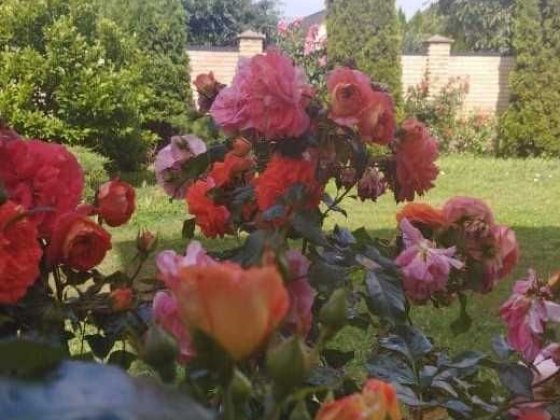 Продаж будинку Щасливе в Мисливська Счастливое