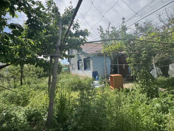 Продается дом дача на Волне Великодолинское