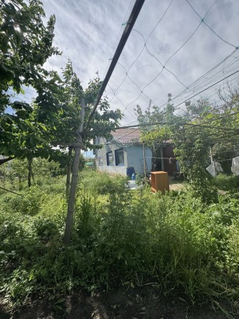 Продается дом дача на Волне - фото 1