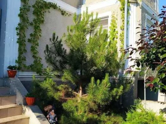 (13) Продам 2-х поверховий будинок в с/т «Схід». Великодолинське