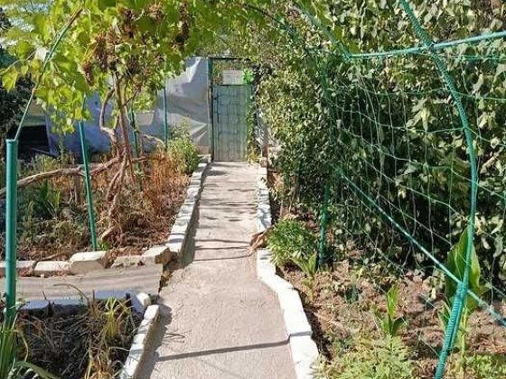 Будинок Світле 2 поверхи 50 кв.м Кухня - 17 кв.м Балкон Косметичний ремонт Ділянка 8 соток