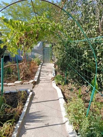 Будинок Світле 2 поверхи 50 кв.м Кухня - 17 кв.м Балкон Косметичний ремонт Ділянка 8 соток - фото 1