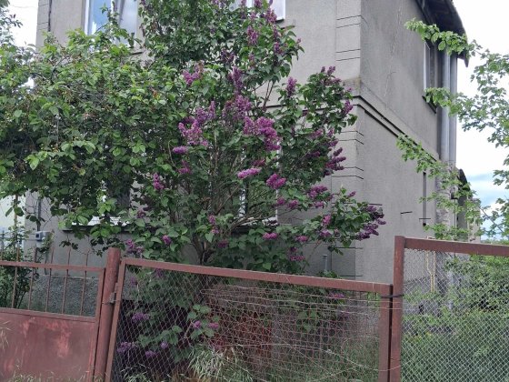 Срочно продам 2-хэтажный дом по цене участка на Сухом Лимане СТ "ЛЕБЕДЬ" Сухой Лиман