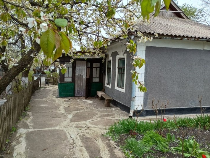 Будинок та присадибна  ділянка - фото 1